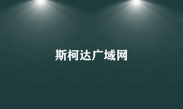 斯柯达广域网