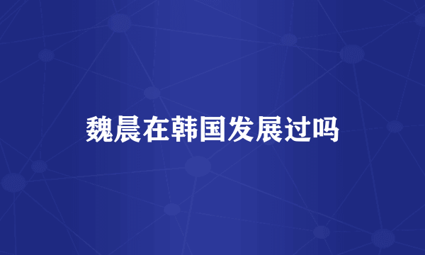 魏晨在韩国发展过吗