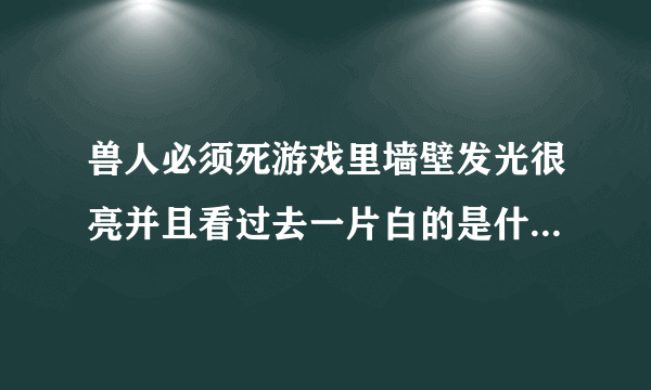兽人必须死游戏里墙壁发光很亮并且看过去一片白的是什么原因？