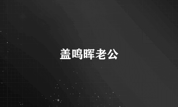 盖鸣晖老公