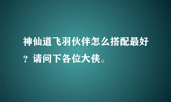 神仙道飞羽伙伴怎么搭配最好？请问下各位大侠。