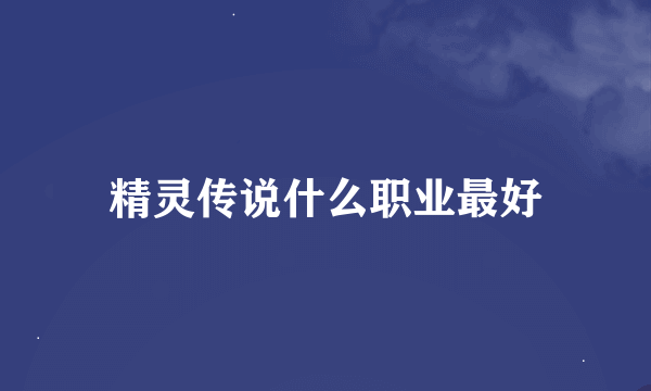 精灵传说什么职业最好