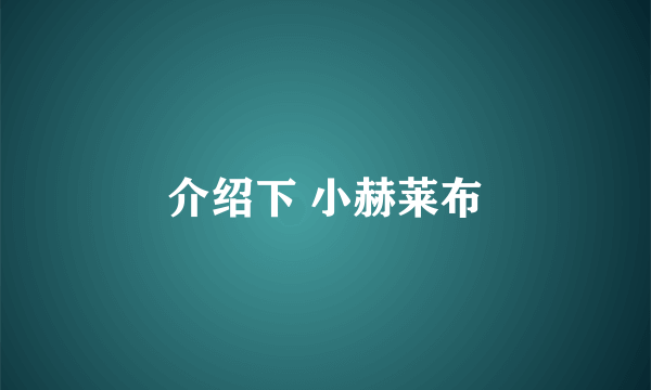 介绍下 小赫莱布