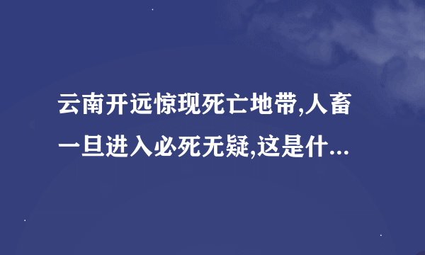云南开远惊现死亡地带,人畜一旦进入必死无疑,这是什么情况?