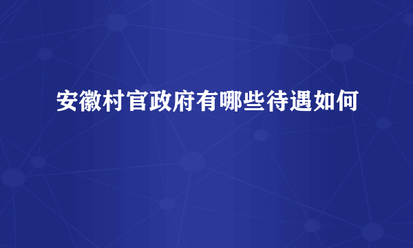 安徽村官政府有哪些待遇如何