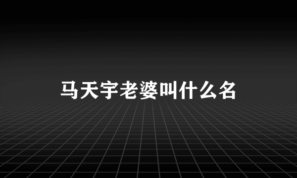 马天宇老婆叫什么名