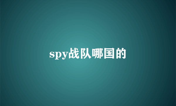 spy战队哪国的
