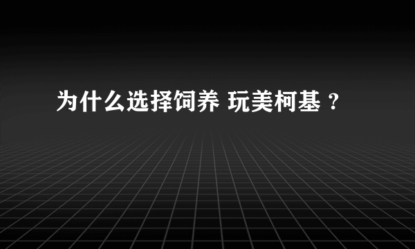为什么选择饲养 玩美柯基 ?