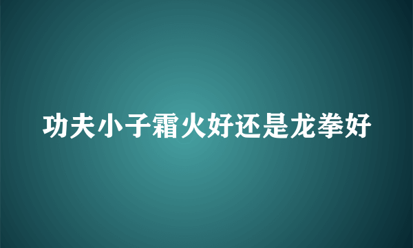 功夫小子霜火好还是龙拳好