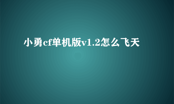 小勇cf单机版v1.2怎么飞天