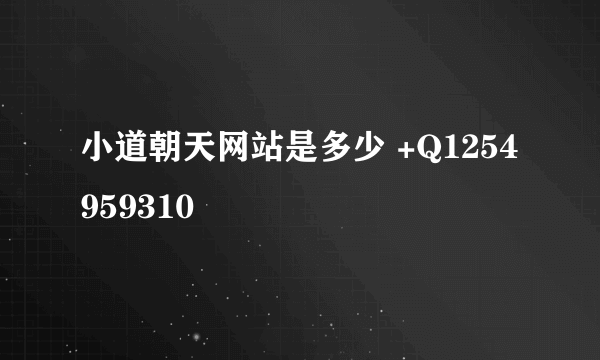小道朝天网站是多少 +Q1254959310