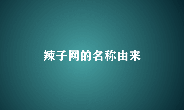 辣子网的名称由来