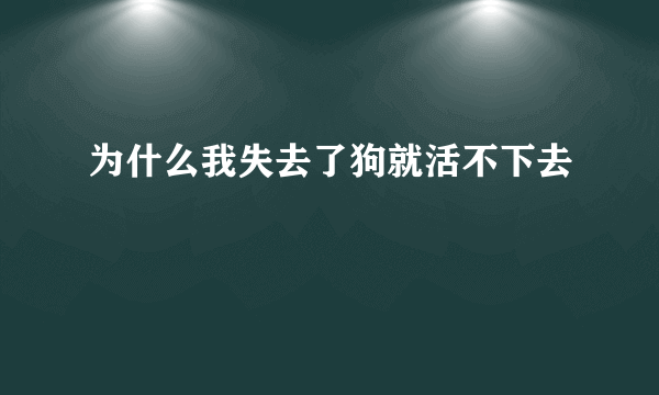 为什么我失去了狗就活不下去