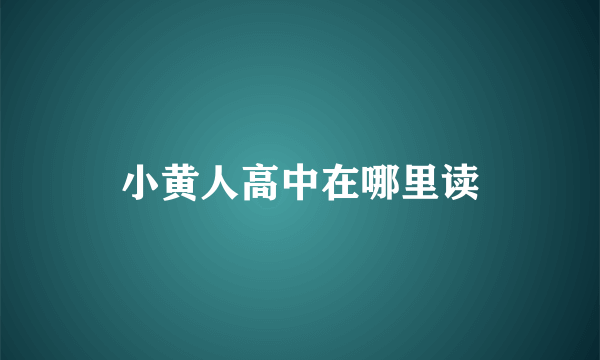 小黄人高中在哪里读