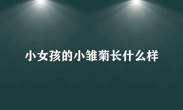 小女孩的小雏菊长什么样