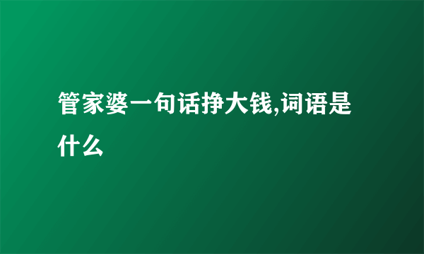 管家婆一句话挣大钱,词语是什么