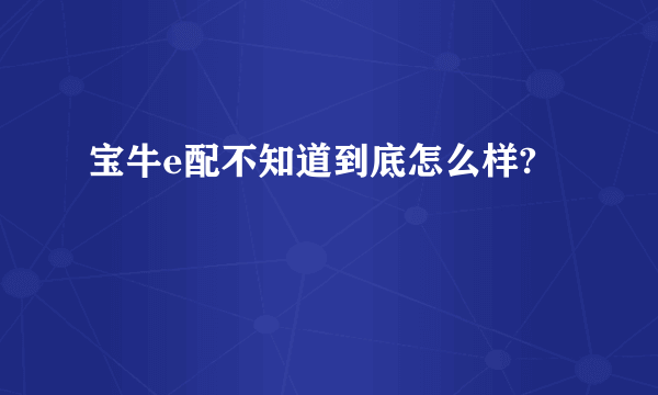 宝牛e配不知道到底怎么样?