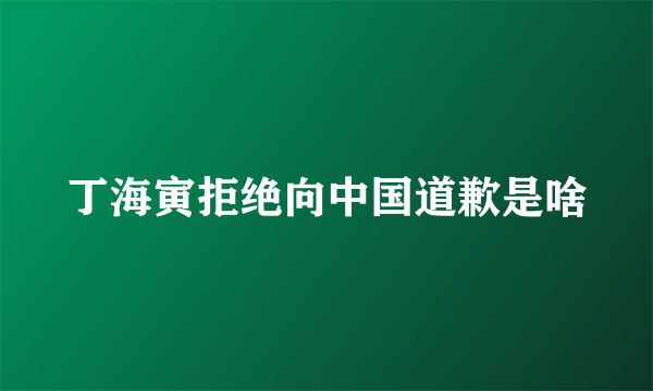 丁海寅拒绝向中国道歉是啥