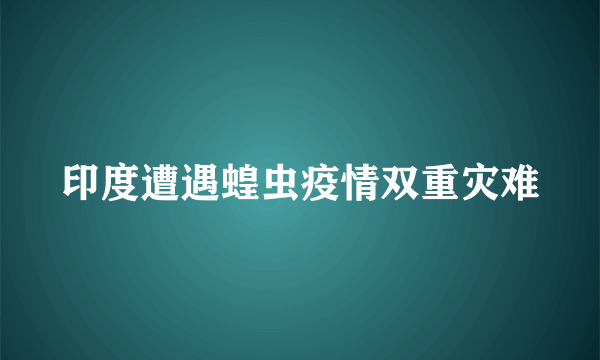 印度遭遇蝗虫疫情双重灾难
