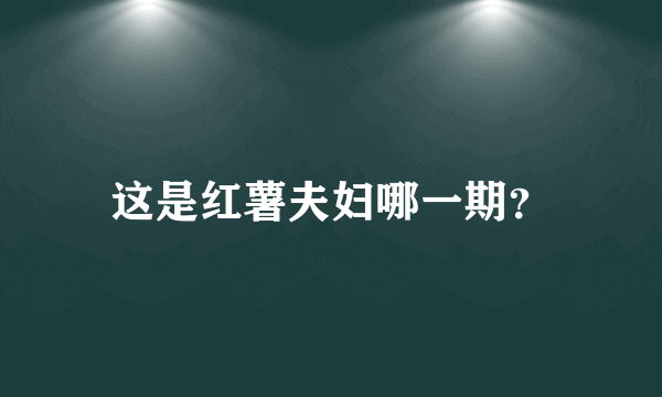 这是红薯夫妇哪一期？