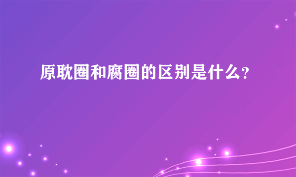 原耽圈和腐圈的区别是什么？
