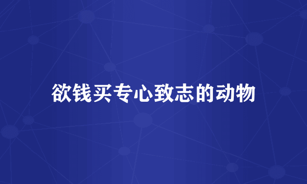 欲钱买专心致志的动物