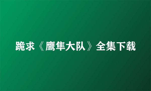 跪求《鹰隼大队》全集下载