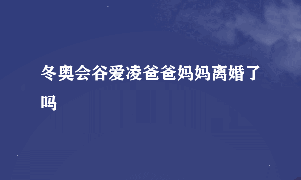 冬奥会谷爱凌爸爸妈妈离婚了吗