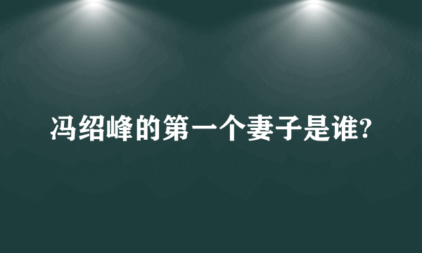 冯绍峰的第一个妻子是谁?