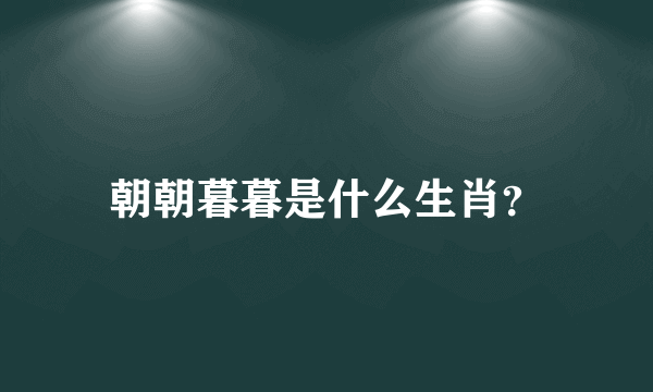 朝朝暮暮是什么生肖？