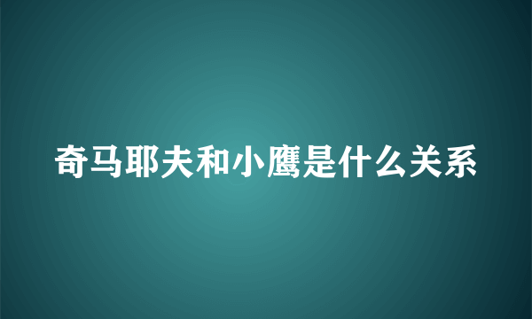 奇马耶夫和小鹰是什么关系
