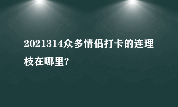 2021314众多情侣打卡的连理枝在哪里?