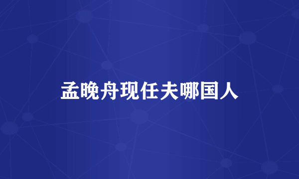 孟晚舟现任夫哪国人