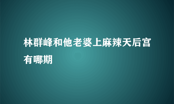 林群峰和他老婆上麻辣天后宫有哪期