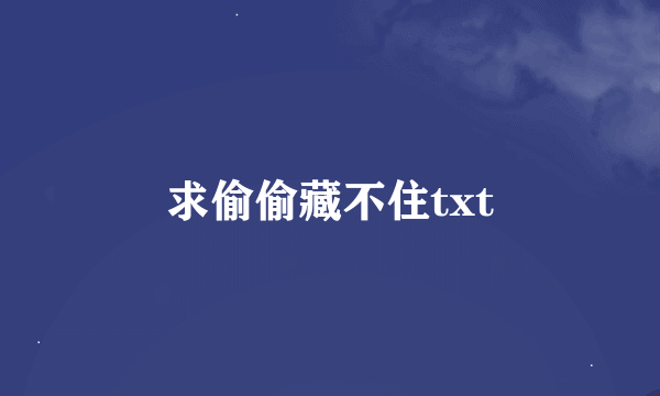 求偷偷藏不住txt