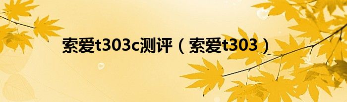 索爱t303c测评索爱t303