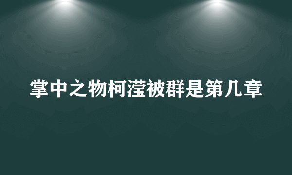 掌中之物柯滢被群是第几章