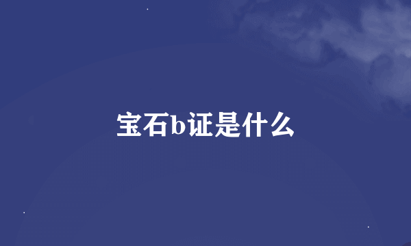 宝石b证是什么
