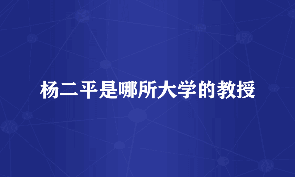 杨二平是哪所大学的教授