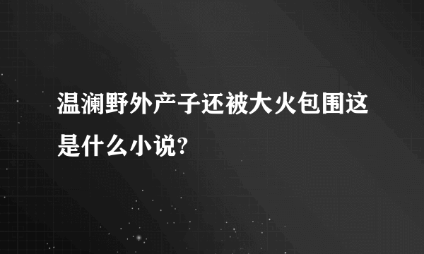 温澜野外产子还被大火包围这是什么小说?
