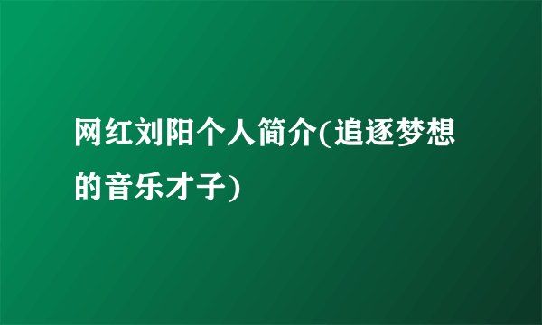 网红刘阳个人简介(追逐梦想的音乐才子)