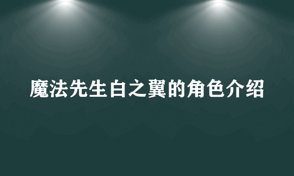 魔法先生白之翼的角色介绍
