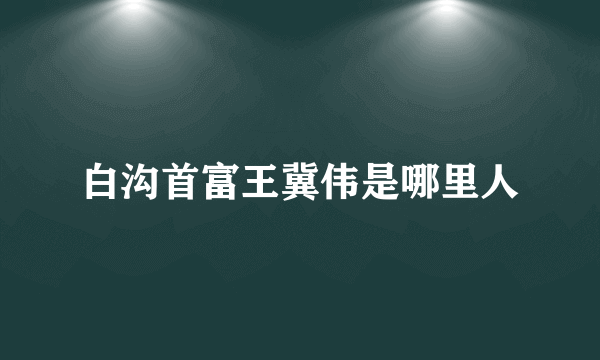 白沟首富王冀伟是哪里人