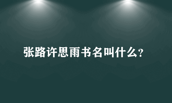 张路许思雨书名叫什么？