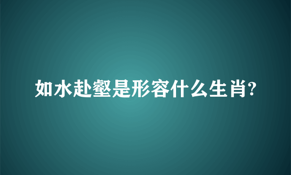 如水赴壑是形容什么生肖?