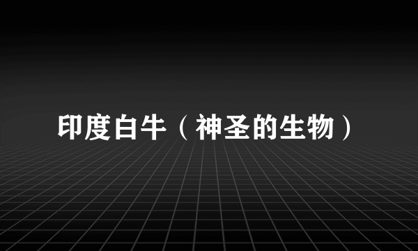 印度白牛（神圣的生物）