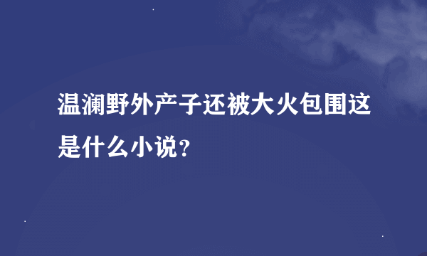 温澜野外产子还被大火包围这是什么小说？