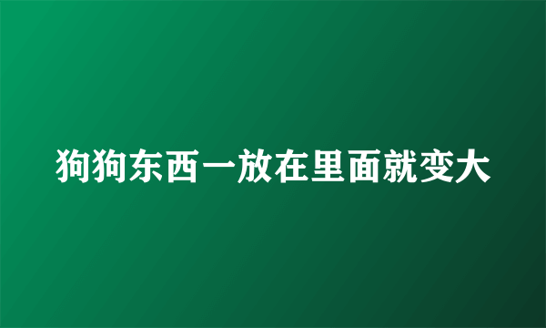 狗狗东西一放在里面就变大