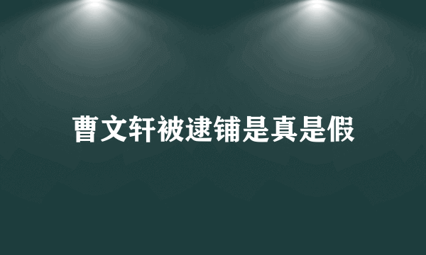 曹文轩被逮铺是真是假