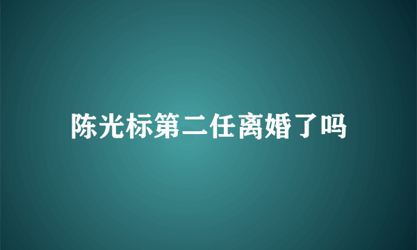 陈光标第二任离婚了吗